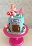 Garden Fairy & Toadstool Cake