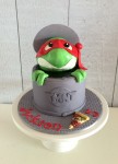 TMNT Ninja Turtle Cake